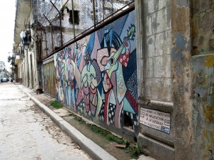 IMG_0249