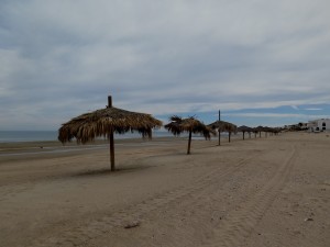 IMG_1163