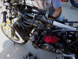 IMG_3701